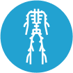 Cryo circulation Cryo circulation