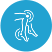 Cryo Reduced Inflammation Cryo Reduced Inflammation