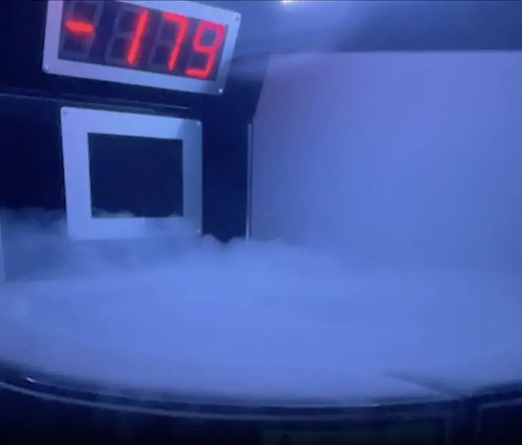 Traditional Whole Body Cryotherapy Traditional Whole Body Cryotherapy